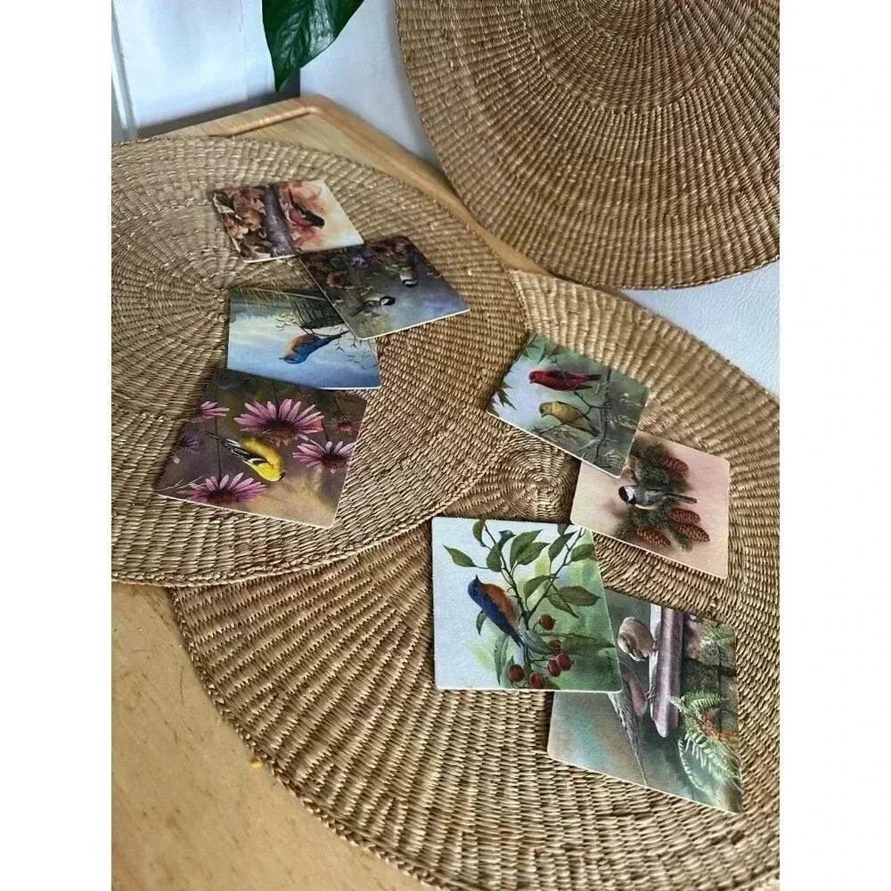 8 Bird paper Coasters